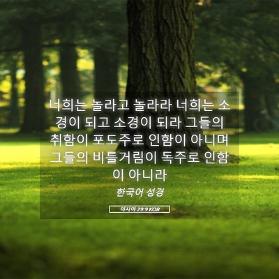 Picture 05 - 이사야 29:9 KOR - 너희는 놀라고 놀라라 너희는 소경이 - Bible Verse Picture