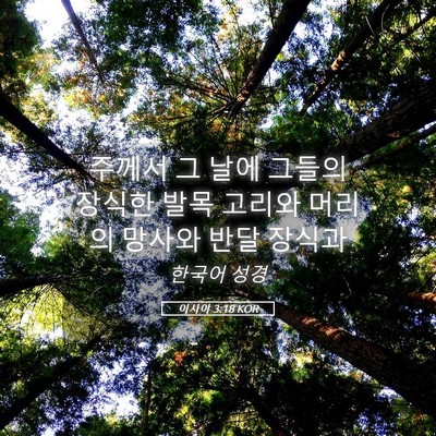 Picture 05 - 이사야 3:18 KOR - 주께서 그 날에 그들의 장식한 발목 - Bible Verse Picture