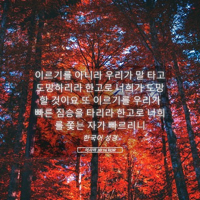 Picture 05 - 이사야 30:16 KOR - 이르기를 아니라 우리가 말 타고 - Bible Verse Picture