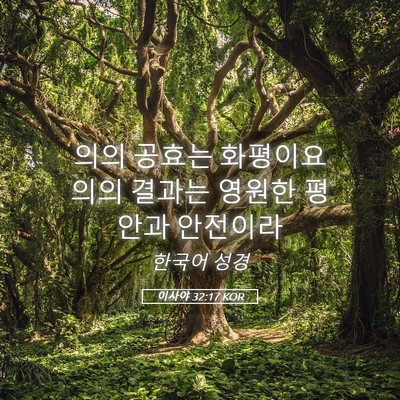Picture 05 - 이사야 32:17 KOR - 의의 공효는 화평이요 의의 결과는 - Bible Verse Picture
