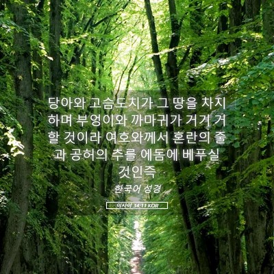 Picture 05 - 이사야 34:11 KOR - 당아와 고슴도치가 그 땅을 차지하며 - Bible Verse Picture