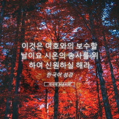 Picture 05 - 이사야 34:8 KOR - 이것은 여호와의 보수할 날이요 - Bible Verse Picture