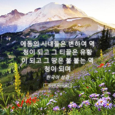 Picture 05 - 이사야 34:9 KOR - 에돔의 시내들은 변하여 역청이 되고 - Bible Verse Picture