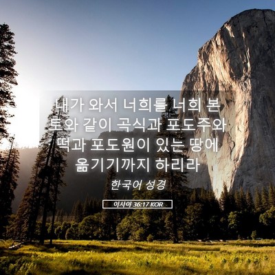 Picture 05 - 이사야 36:17 KOR - 내가 와서 너희를 너희 본토와 같이 - Bible Verse Picture