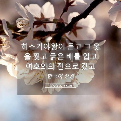Picture 05 - 이사야 37:1 KOR - 히스기야왕이 듣고 그 옷을 찢고 - Bible Verse Picture