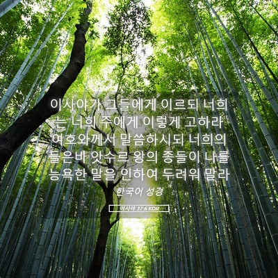Picture 05 - 이사야 37:6 KOR - 이사야가 그들에게 이르되 너희는 - Bible Verse Picture