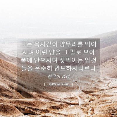 Picture 05 - 이사야 40:11 KOR - 그는 목자같이 양무리를 먹이시며 - Bible Verse Picture