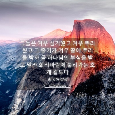 Picture 05 - 이사야 40:24 KOR - 그들은 겨우 심기웠고 겨우 뿌리웠고 - Bible Verse Picture