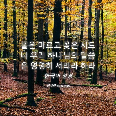 Picture 05 - 이사야 40:8 KOR - 풀은 마르고 꽃은 시드나 우리 - Bible Verse Picture