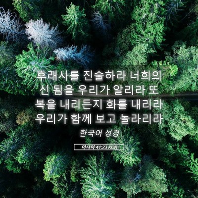 Picture 05 - 이사야 41:23 KOR - 후래사를 진술하라 너희의 신 됨을 - Bible Verse Picture