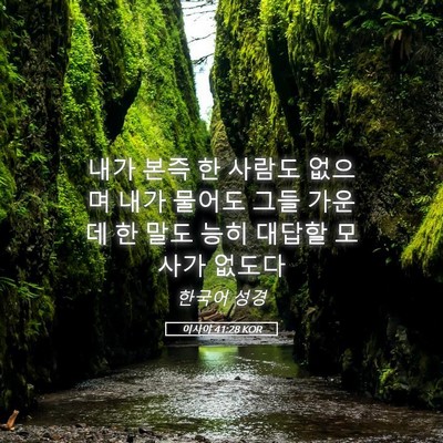 Picture 05 - 이사야 41:28 KOR - 내가 본즉 한 사람도 없으며 내가 - Bible Verse Picture