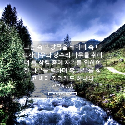 Picture 05 - 이사야 44:14 KOR - 그는 혹 백향목을 베이며 혹 - Bible Verse Picture