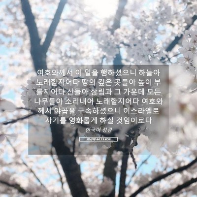 Picture 05 - 이사야 44:23 KOR - 여호와께서 이 일을 행하셨으니 - Bible Verse Picture