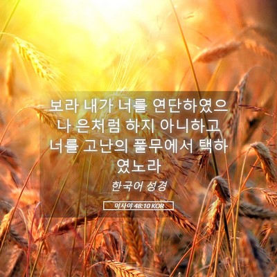 Picture 05 - 이사야 48:10 KOR - 보라 내가 너를 연단하였으나 은처럼 - Bible Verse Picture