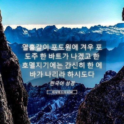 Picture 05 - 이사야 5:10 KOR - 열흘갈이 포도원에 겨우 포도주 한 - Bible Verse Picture