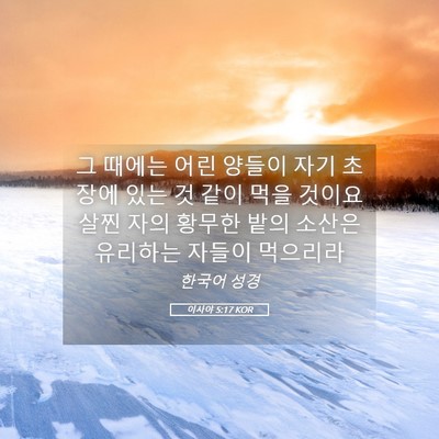 Picture 05 - 이사야 5:17 KOR - 그 때에는 어린 양들이 자기 초장에 - Bible Verse Picture