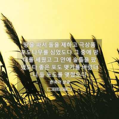Picture 05 - 이사야 5:2 KOR - 땅을 파서 돌을 제하고 극상품 - Bible Verse Picture
