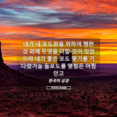 Picture 05 - 이사야 5:4 KOR - 내가 내 포도원을 위하여 행한 것 - Bible Verse Picture