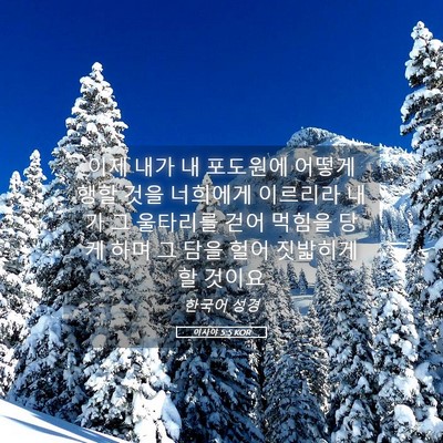 Picture 05 - 이사야 5:5 KOR - 이제 내가 내 포도원에 어떻게 행할 - Bible Verse Picture