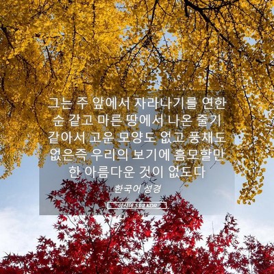 Picture 05 - 이사야 53:2 KOR - 그는 주 앞에서 자라나기를 연한 순 - Bible Verse Picture