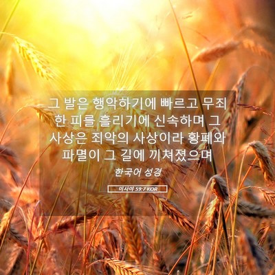 Picture 05 - 이사야 59:7 KOR - 그 발은 행악하기에 빠르고 무죄한 - Bible Verse Picture