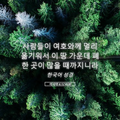 Picture 05 - 이사야 6:12 KOR - 사람들이 여호와께 멀리 옮기워서 이 - Bible Verse Picture