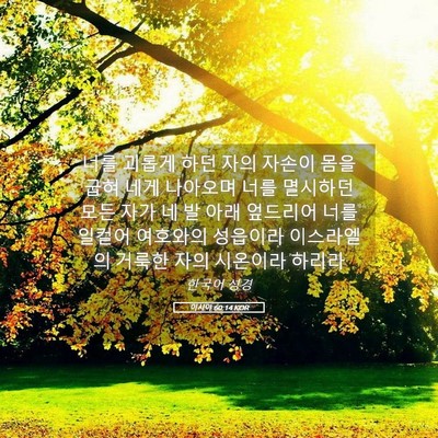 Picture 05 - 이사야 60:14 KOR - 너를 괴롭게 하던 자의 자손이 몸을 - Bible Verse Picture