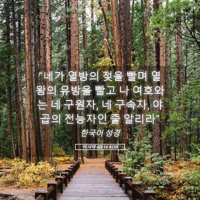 Picture 05 - 이사야 60:16 KOR - 