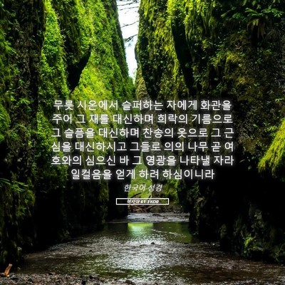 Picture 05 - 이사야 61:3 KOR - 무릇 시온에서 슬퍼하는 자에게 - Bible Verse Picture