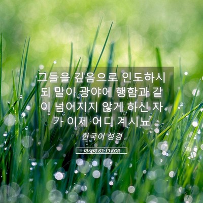 Picture 05 - 이사야 63:13 KOR - 그들을 깊음으로 인도하시되 말이 - Bible Verse Picture