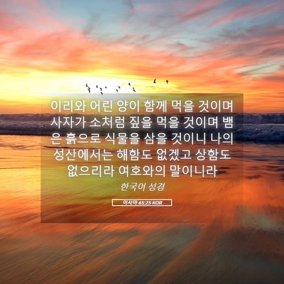 Picture 05 - 이사야 65:25 KOR - 이리와 어린 양이 함께 먹을 것이며 - Bible Verse Picture