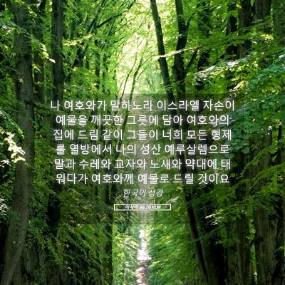 Picture 05 - 이사야 66:20 KOR - 나 여호와가 말하노라 이스라엘 - Bible Verse Picture