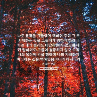 Picture 05 - 이사야 66:4 KOR - 나도 유혹을 그들에게 택하여 주며 - Bible Verse Picture