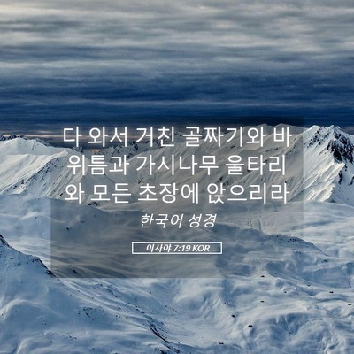 Picture 05 - 이사야 7:19 KOR - 다 와서 거친 골짜기와 바위틈과 - Bible Verse Picture
