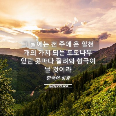 Picture 05 - 이사야 7:23 KOR - 그 날에는 천 주에 은 일천개의 가치 - Bible Verse Picture