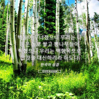 Picture 05 - 이사야 9:10 KOR - 벽돌이 무너졌으나 우리는 다듬은 - Bible Verse Picture
