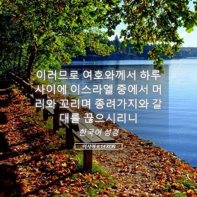 Picture 05 - 이사야 9:14 KOR - 이러므로 여호와께서 하루 사이에 - Bible Verse Picture