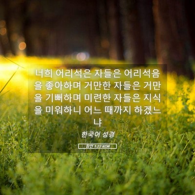 Picture 05 - 잠언 1:22 KOR - 너희 어리석은 자들은 어리석음을 - Bible Verse Picture