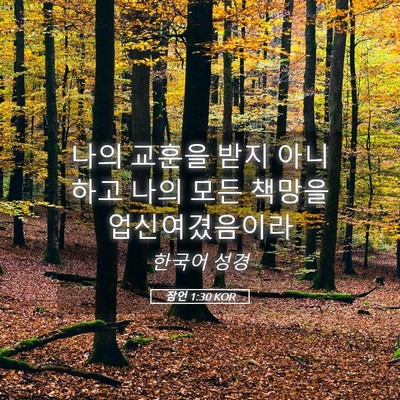 Picture 05 - 잠언 1:30 KOR - 나의 교훈을 받지 아니하고 나의 - Bible Verse Picture