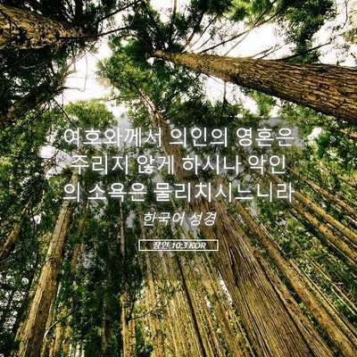 Picture 05 - 잠언 10:3 KOR - 여호와께서 의인의 영혼은 주리지 - Bible Verse Picture