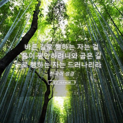 Picture 05 - 잠언 10:9 KOR - 바른 길로 행하는 자는 걸음이 - Bible Verse Picture