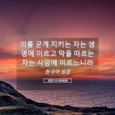 Picture 05 - 잠언 11:19 KOR - 의를 굳게 지키는 자는 생명에 - Bible Verse Picture
