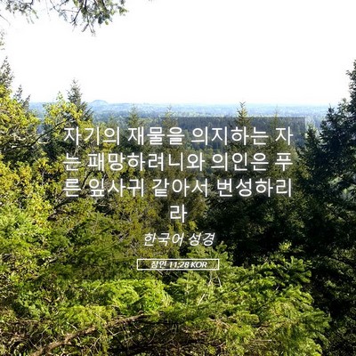 Picture 05 - 잠언 11:28 KOR - 자기의 재물을 의지하는 자는 - Bible Verse Picture