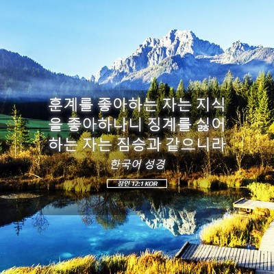 Picture 05 - 잠언 12:1 KOR - 훈계를 좋아하는 자는 지식을 - Bible Verse Picture