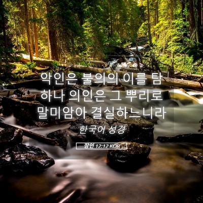 Picture 05 - 잠언 12:12 KOR - 악인은 불의의 이를 탐하나 의인은 - Bible Verse Picture