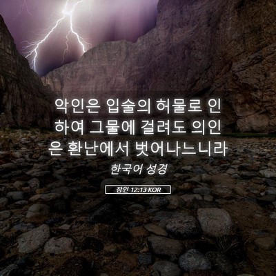 Picture 05 - 잠언 12:13 KOR - 악인은 입술의 허물로 인하여 그물에 - Bible Verse Picture