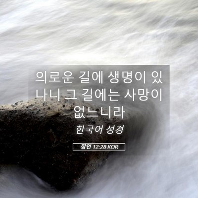 Picture 05 - 잠언 12:28 KOR - 의로운 길에 생명이 있나니 그 - Bible Verse Picture