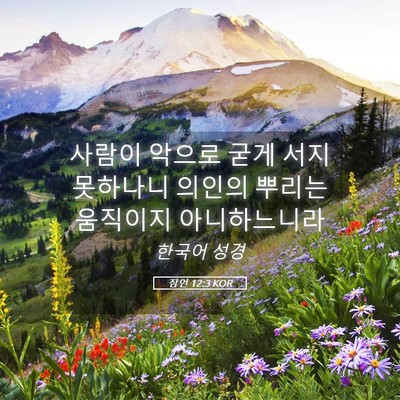 Picture 05 - 잠언 12:3 KOR - 사람이 악으로 굳게 서지 못하나니 - Bible Verse Picture