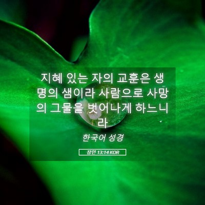 Picture 05 - 잠언 13:14 KOR - 지혜 있는 자의 교훈은 생명의 - Bible Verse Picture