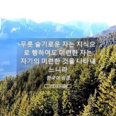 Picture 05 - 잠언 13:16 KOR - 무릇 슬기로운 자는 지식으로 - Bible Verse Picture